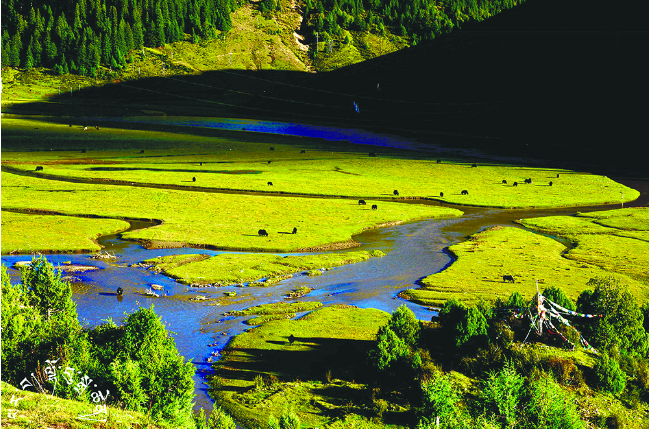 ༄༅།། གསེར་ཧོར་ཤུལ་ཡུལ་གྱི་གེ་སར་རིག་གནས།
