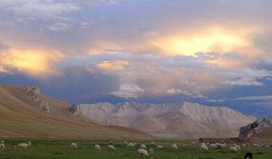 ༄༅།།དུས་རབས་བཅོ་ལྔར་རྒྱ་སྲོལ་རི་མོས་བོད་ཀྱི་རི་མོའི་འབྲི་ཐབས་གང་དག་ལ་ཤུགས་རྐྱེན་ཇི་ལྟར་ཐེབས་ཡོད་པའི་སྐོར་གླེང་བ།