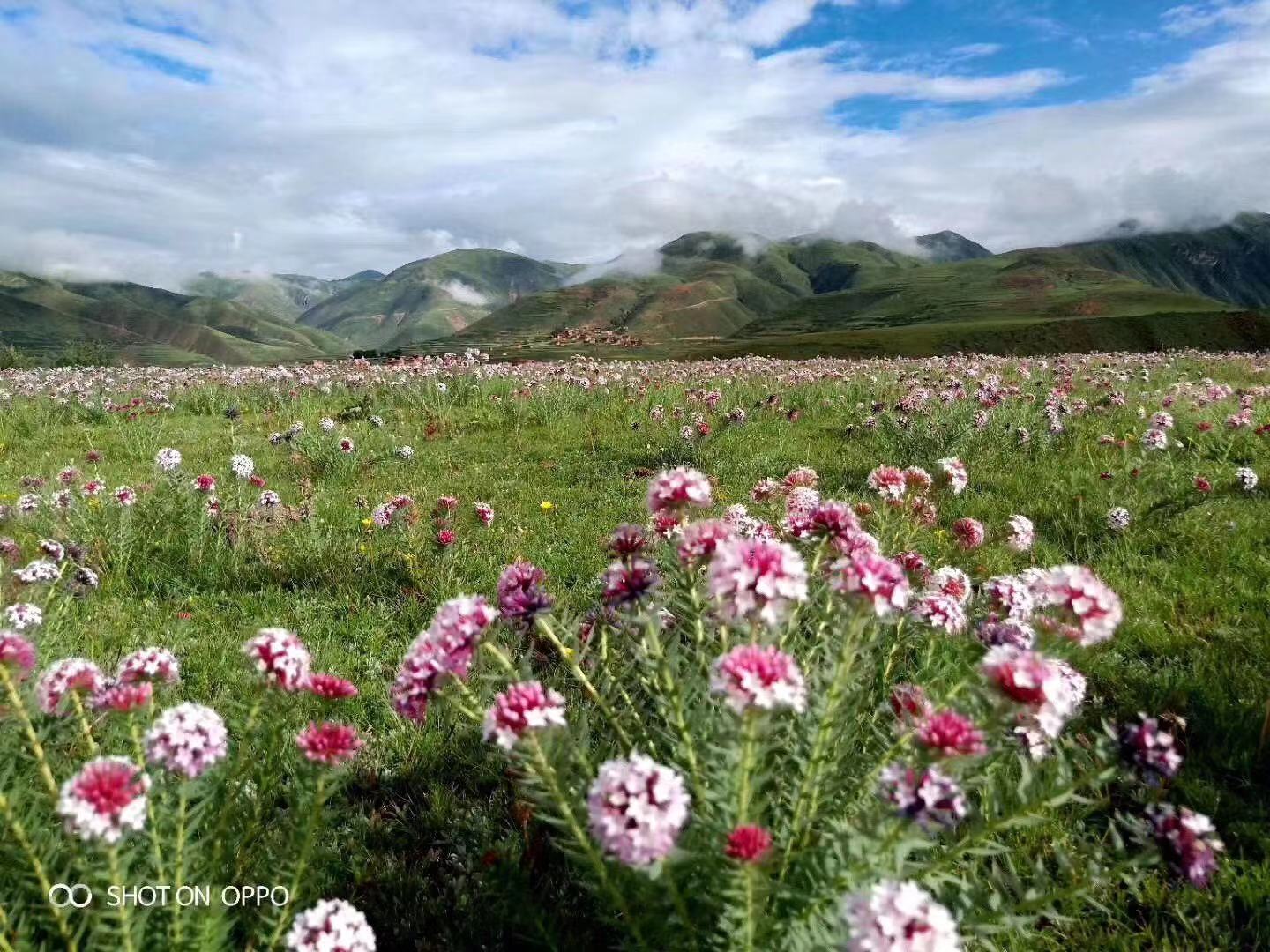 ༄༅།།ས་པཎ་གྱི་རོལ་མོའི་བསྟན་བཅོས་ལས་གསང་སྔགས་གསར་མའི་རོལ་དབྱངས་ཀྱི་སྐོར་རགས་ཙམ་གླེང་བ།(1)