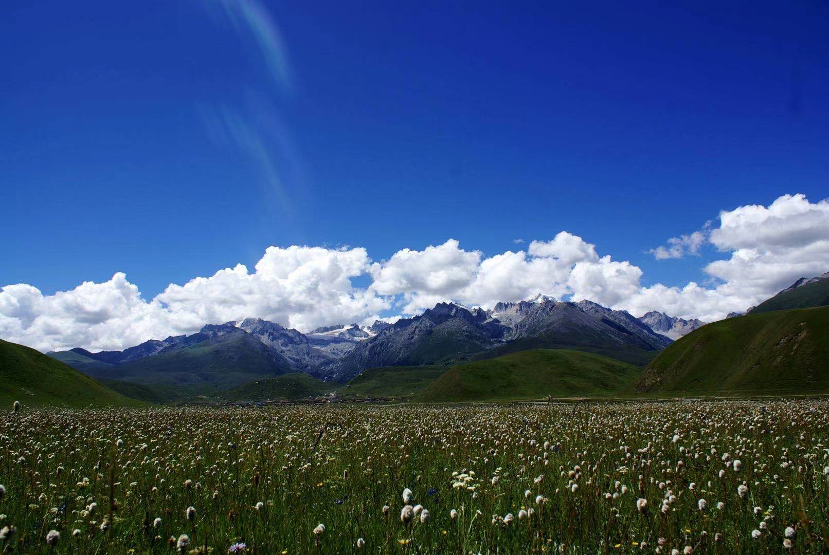 ༄༅།།དགེ་རྒན་དུས་ཆེན་ལ་རྟེན་འབྲེལ་ཞུ་བའི་བྲིས་གཟུགས་འགའ།