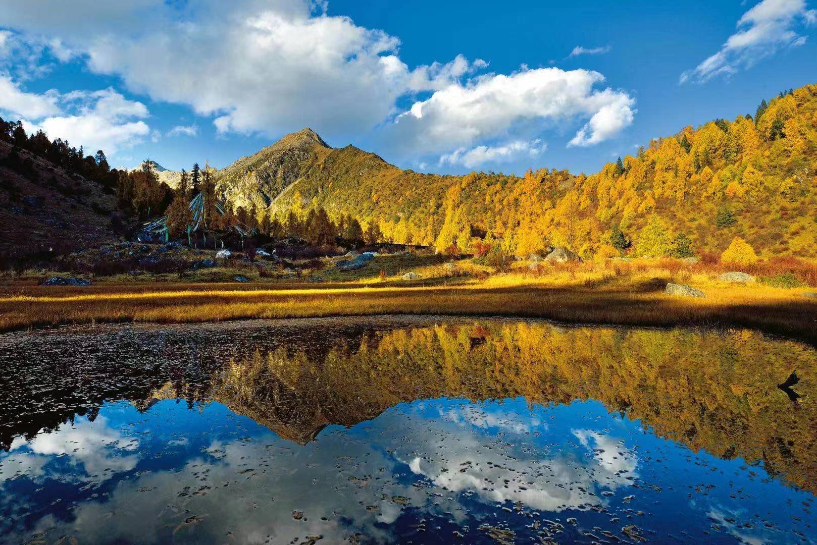 ༄༅།།སྐད་ཡིག་གཉིས་ནི་མི་རིགས་བླ་སྲོག་ཡིན། ཡི་གེའི་གཟུགས་ཀྱི་བྲིས་རྒྱུན་ལེགས་པར་སྐྱོངས།