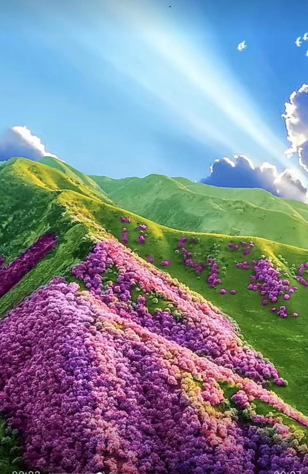 ༄༅།།སྨྱུ་གུ་བཟོ་སྟངས།