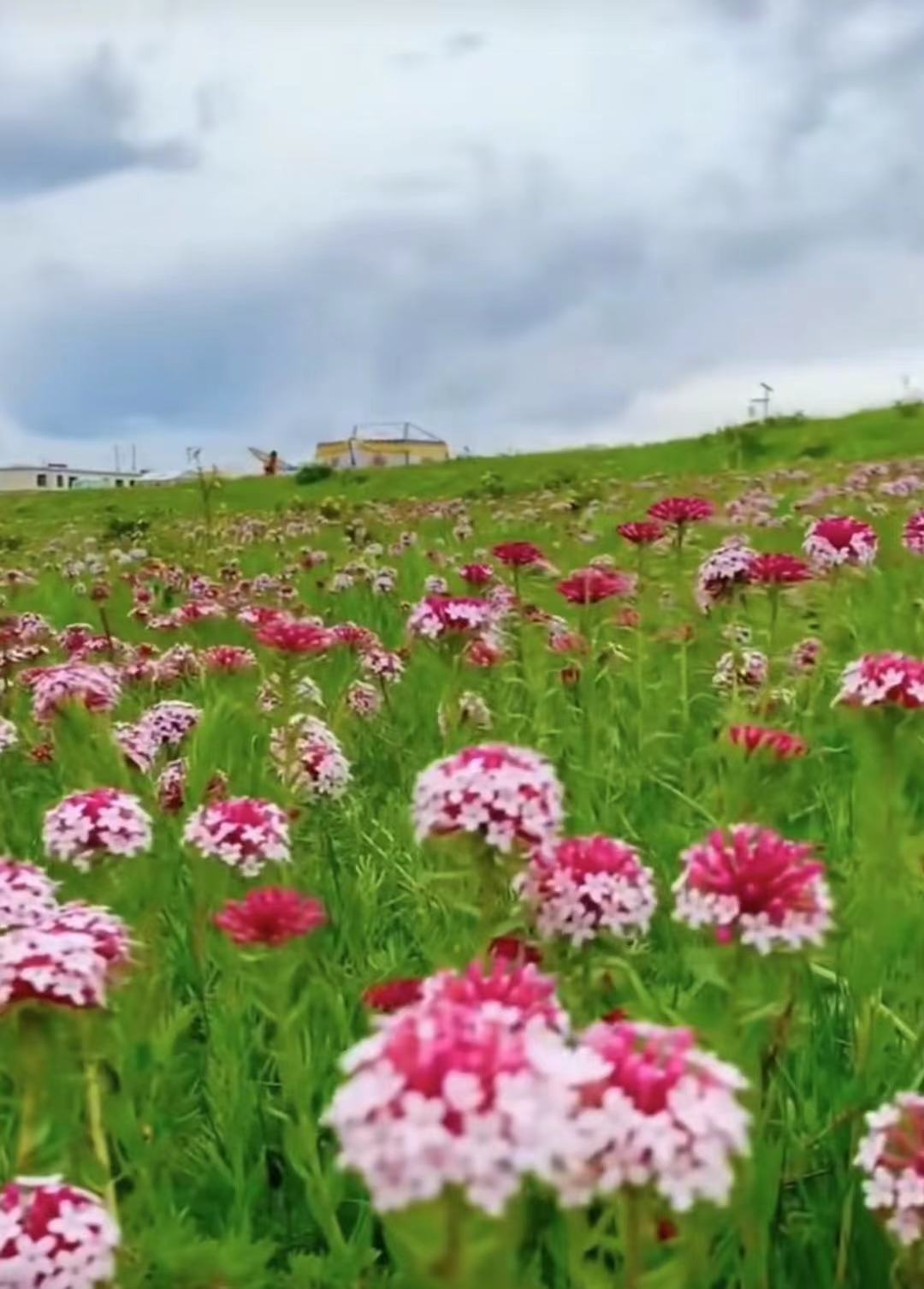 ༄༅།།གླིང་གི་རྗེས་ཤུལ་བཙལ་བ་ལས།༥ མཚོ་གསུམ་དང་སྒ་སྐྱ་ལོ་ཚང་གི་མཁར་ཤུལ།