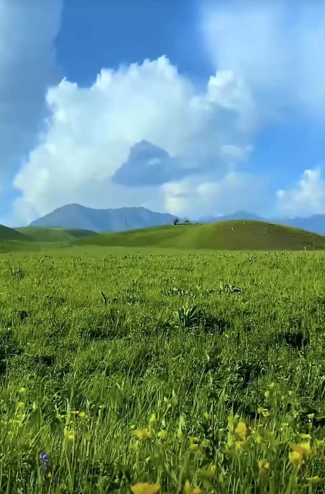 ༄༅།གླིང་གི་ཡང་རྟུལ་དམ་པའི་མི་བདུན་གྱི་ཐང་ག།