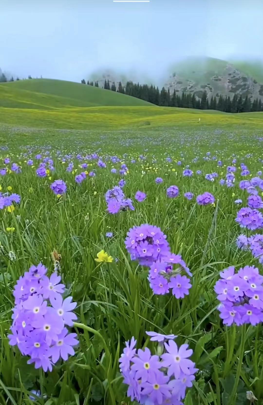 ༄༅།།གཡུ་རོང་བསེ་རྫོང་བཀླགས་ཚོར།