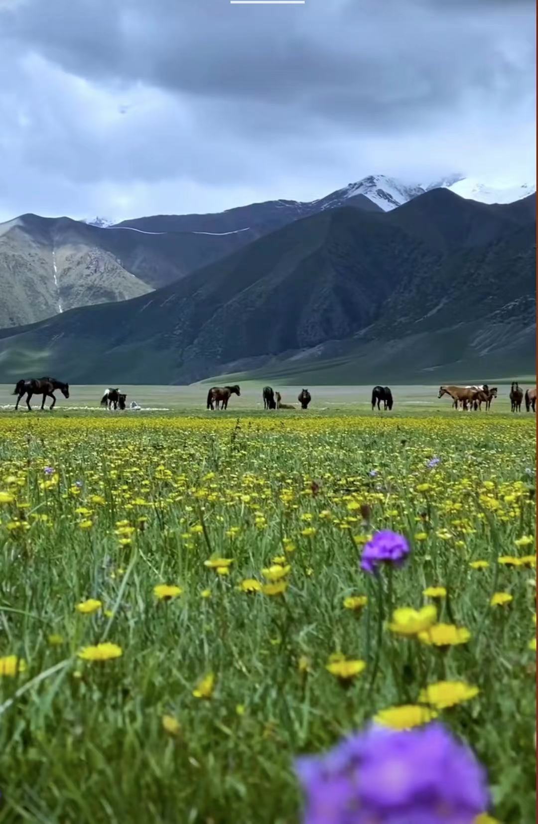 ༄༅།།བོད་གནའ་རབས་ཀྱི་ཤིང་རྐོས་སྐོར་མདོ་ཙམ་བརྗོད་པ།