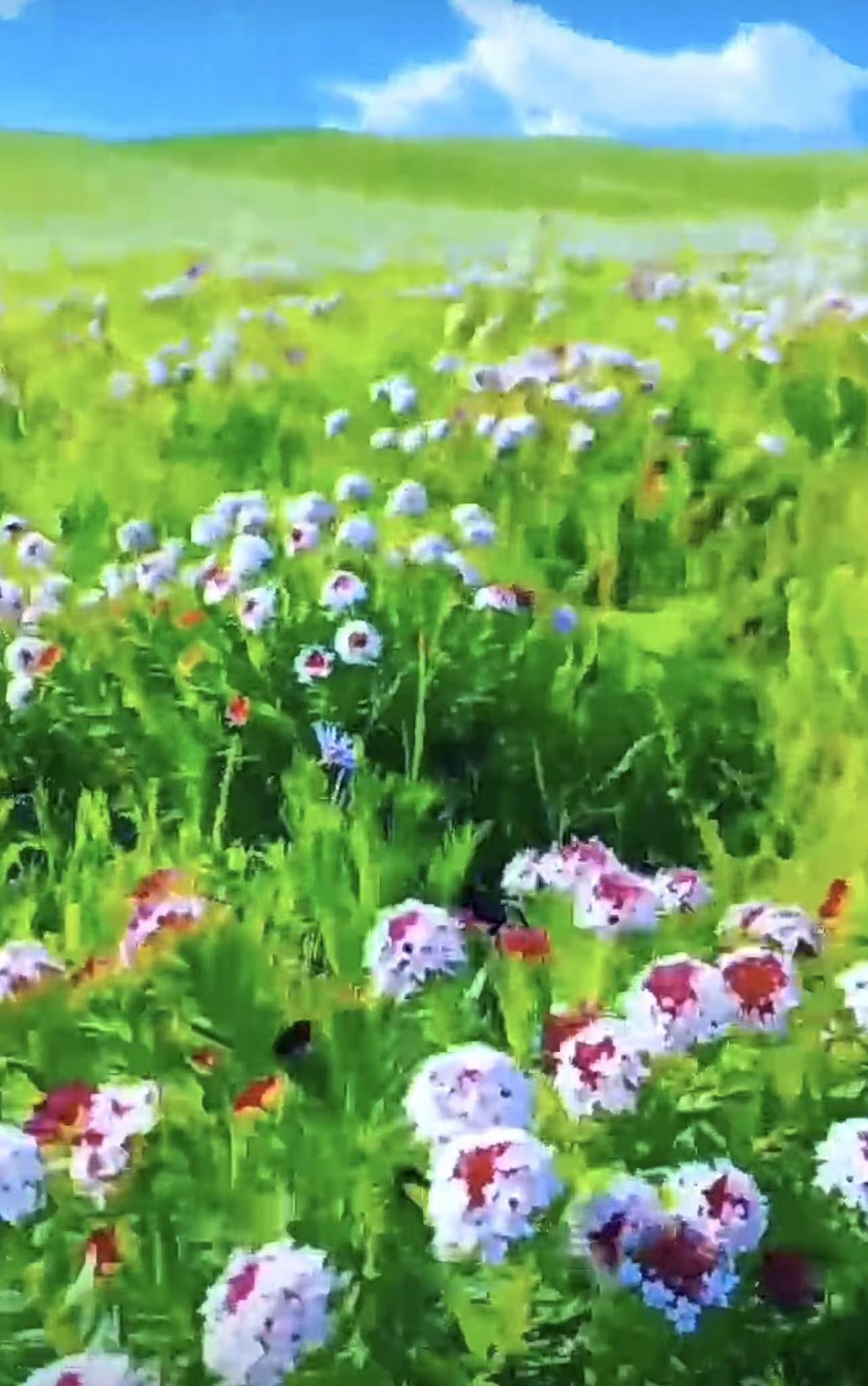 ༄༅།།འབྲུག་མོའི་མི་རྟ་ངོ་སྤྲོད་ཀྱི་གླུ་དགུ་སེང་དྲུག་འགྱུར་གྱི་རྟ་ལ་དྲངས་ནས་བླངས་སོ། །