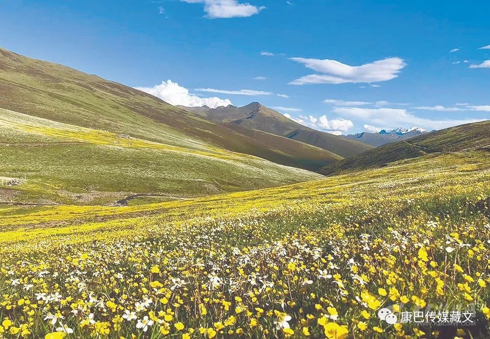 ༄༅།།གསེར་པའི་ཉི་འབུམ་དར་ཡག་གི་གླུ།