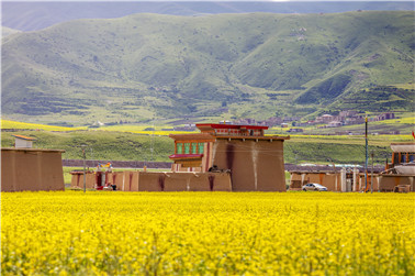 ༄༅།། སྐལ་བཟང་ཚེ་བརྟན་གྱི་གྲོང་གསེབ་པར་རིས་བརྩམས་ཆོས་བདམས་བཀོད། 