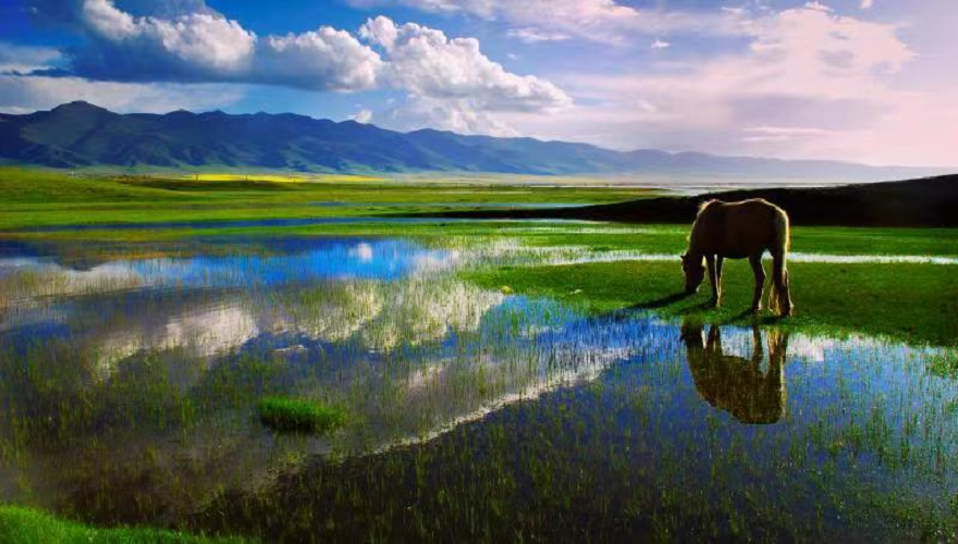 ༄༅།།ཐང་རྩེ་གཡུང་དྲུང་གིས་བླངས་པའི་གླུ།