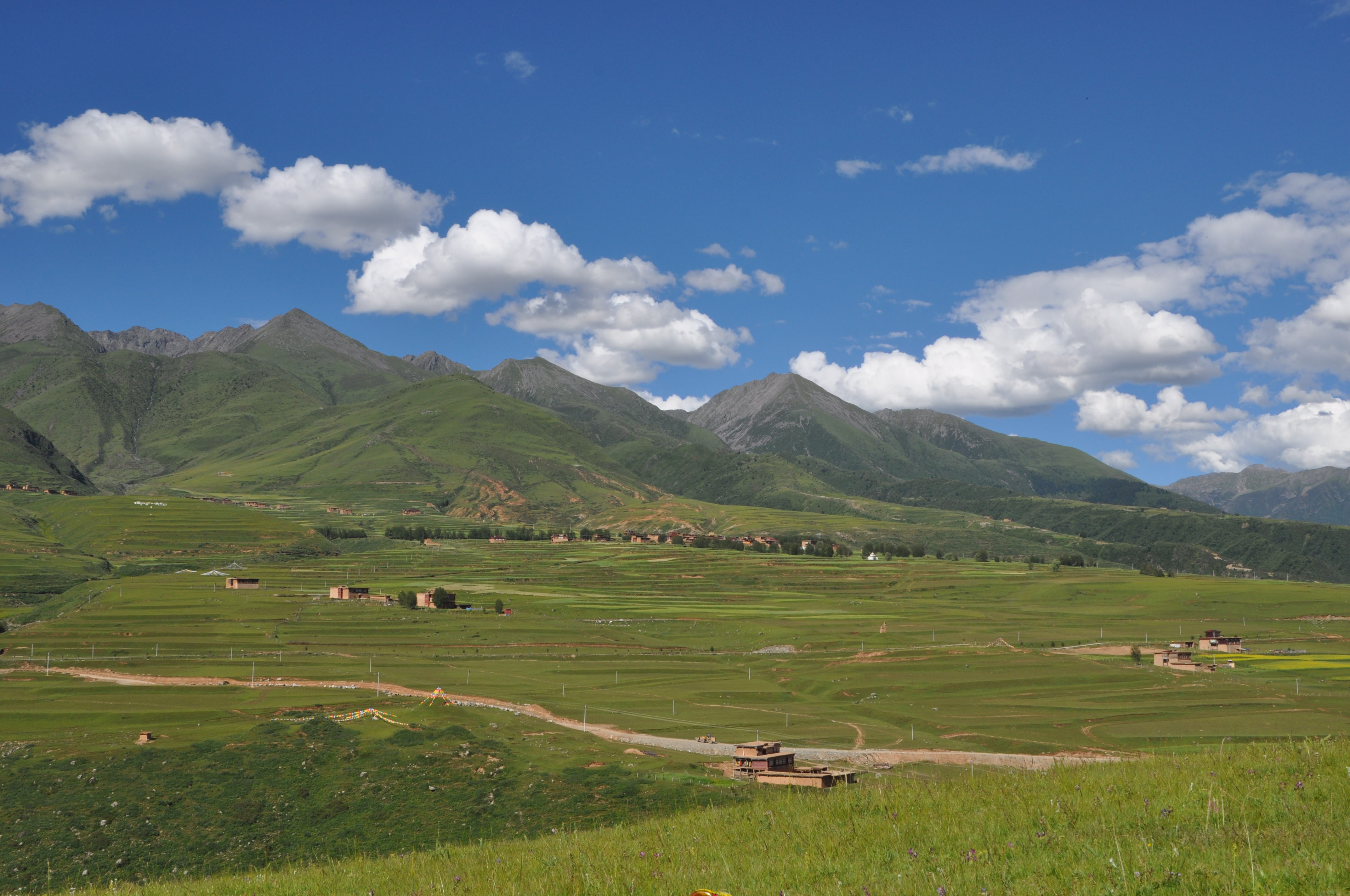 ༄༅།། ཉ་ཚ་ཨ་བརྟན་གྱིས་བླངས་པའི་གླུ།