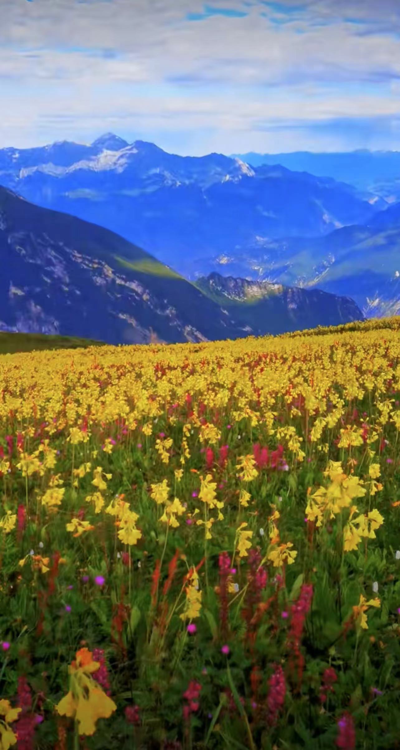 ༄༅།།མགར་ཆོས་དར་གྱིས་བུ་ཆུང་ལ་བླངས་པའི་གླུ།