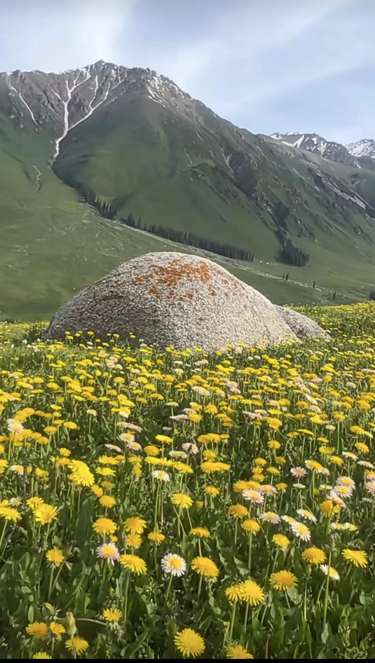 ༄༅།།འབྲུག་མོས་ས་དཔྱད་འདྲི་བའི་གླུ་