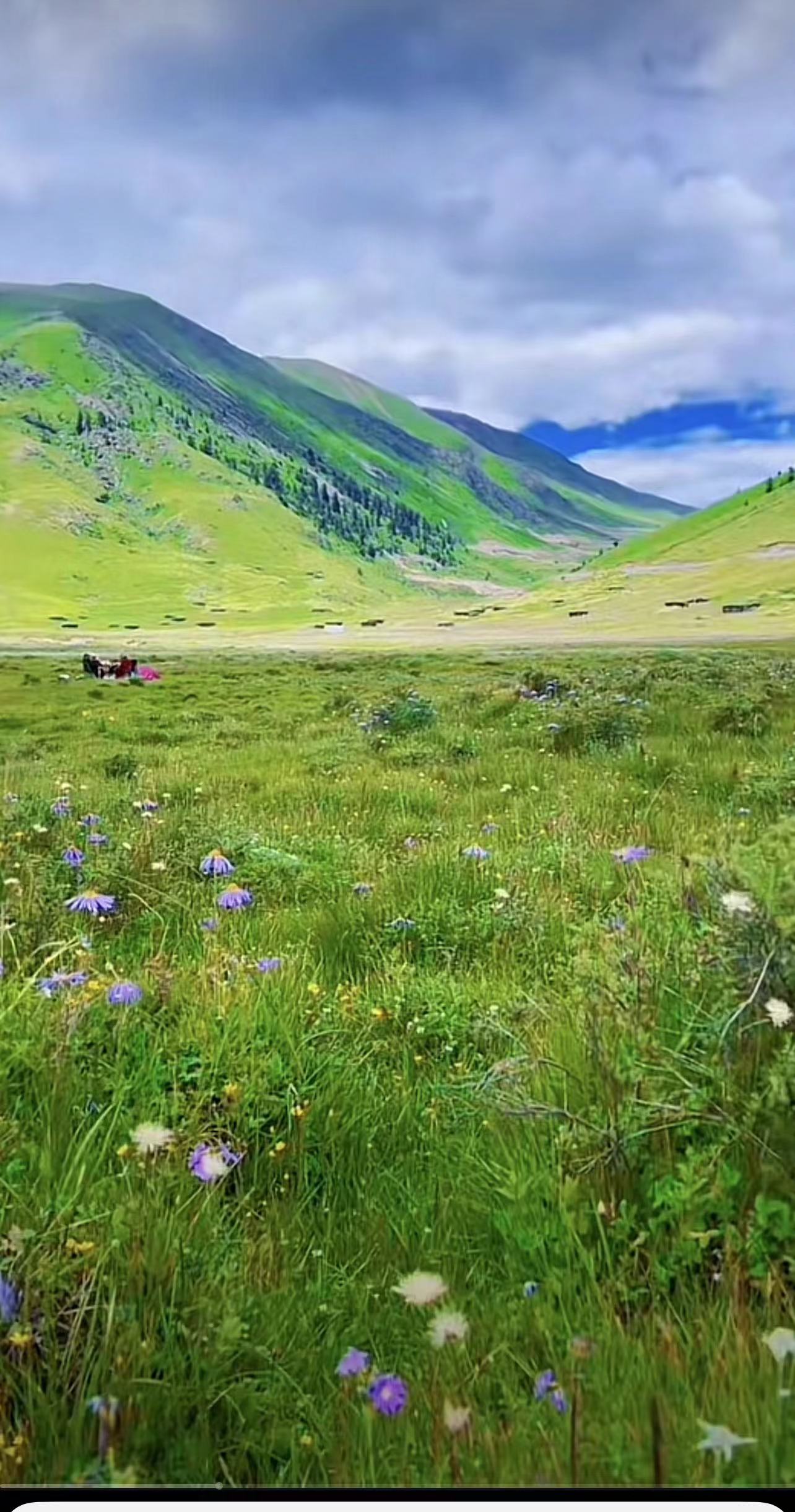 ༄༅།།གླིང་སྒྲུང་ནང་གི་ཆང་བཤད།