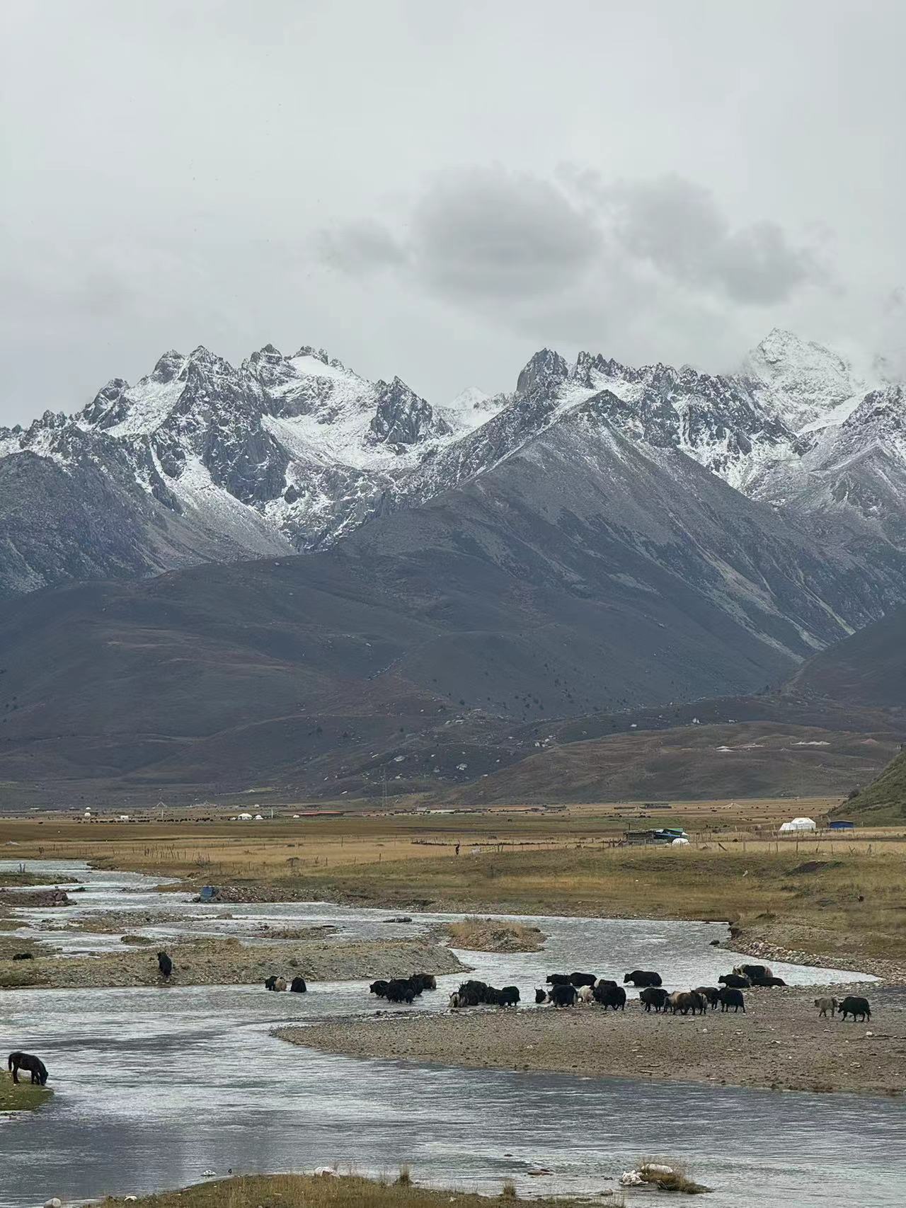 ༄༅།།གུར་དཀར་རྒྱལ་པོའི་བླངས་པའི་གླུ།