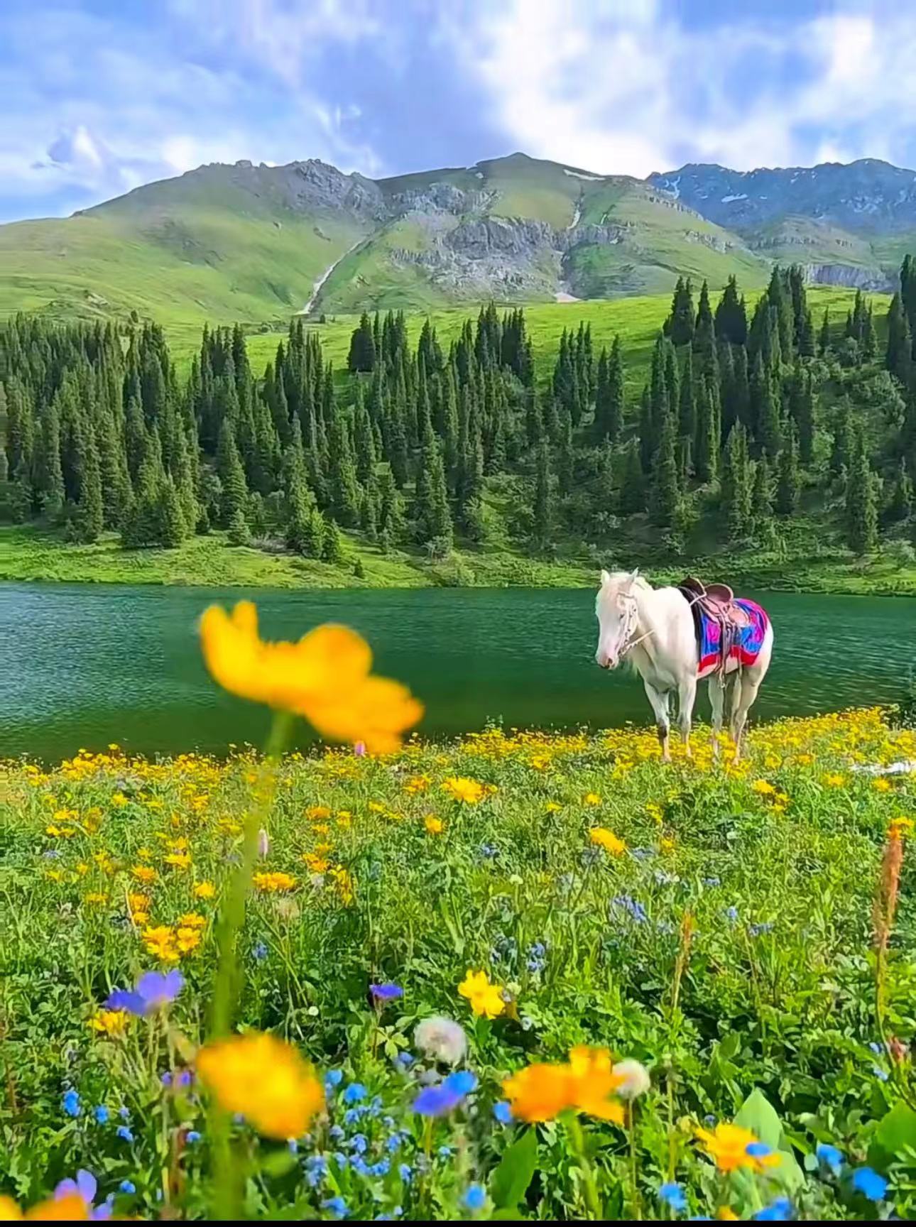 ༄༅། །གླིང་གི་སྐོར་ལ་ཅུང་ཟད་དཔྱད་པ།