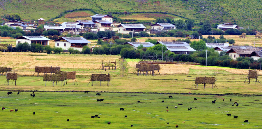 ༄༅།།བརྩེ་བའི་རང་མདངས་ཤོག་བུ་བཞིན་དུ་དཀར།། བོད་ཤོག་བཟོ་རྩལ་བརྒྱུད་འཛིན་གོང་དུ་སྤེལ།།